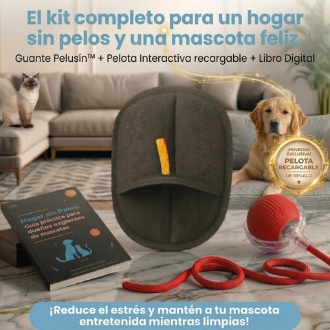 Producto