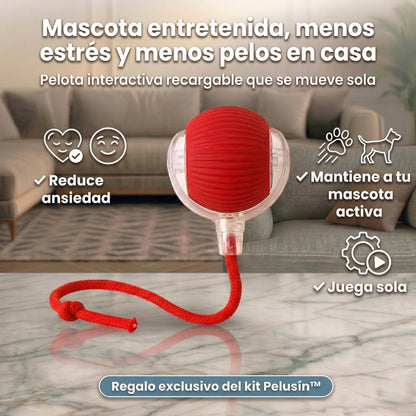 Kit Premium Pelusin™ El quita pelos que sí funciona + EBOOK GRATIS